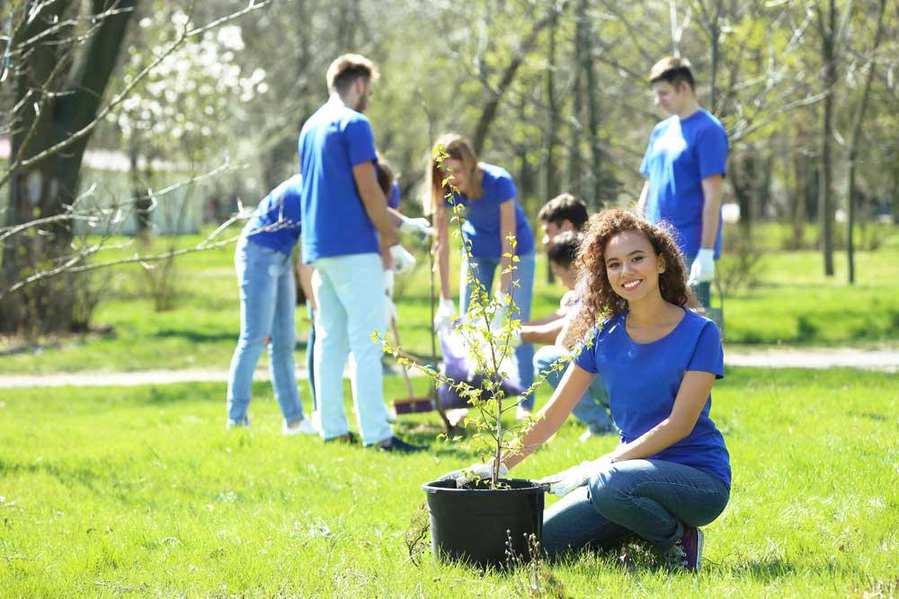 atelier interactif dans la nature